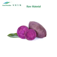 Campioni gratuiti Ube Purple Yam aromatizing Extract Premium lilla Taro Yam powder Purple Yam