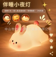 Lampe de chevet en silicone Panda Pat, best-seller transfrontalier, activée par la voix, batterie intégrée, sac cadeau, lumière d'ambiance