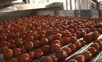 Nieuwe turnkey project tomatenpuree verwerkingsinstallatie automatische drankenproductielijn warmtewisselaar roestvrij staal