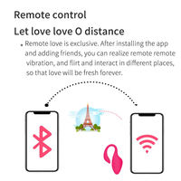 Hot Selling APP Fernbedienung Vibrator Love Egg Wearable Bullet Aldut Produkt Weibliches Sexspielzeug für Frauen