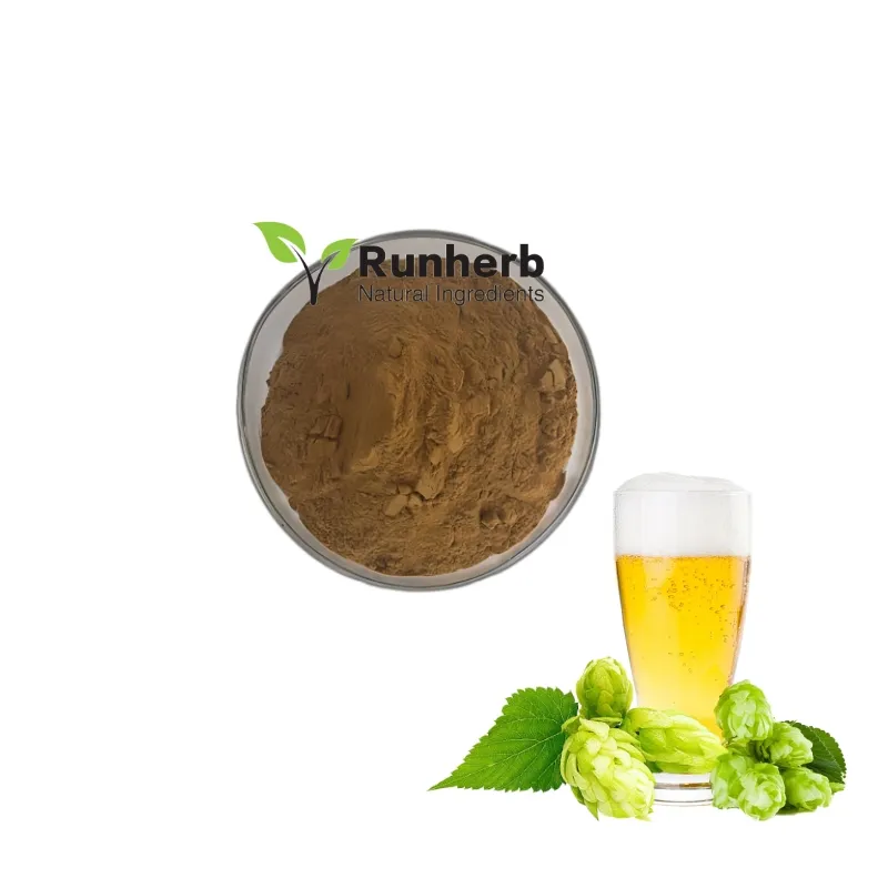 Runherb Supply miglior prezzo estratto vegetale naturale al 100% estratto di luppolo in polvere