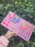 Palette d'ombres à paupières de 60 couleurs, scintillantes, nacrées, 8 couleurs, ensemble de Blush avec pinceau, vente en gros, Palette d'ombres à paupières imperméables