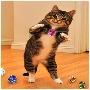 Palline colorate per gatti masticare e inseguire <span class=keywords><strong>Cat</strong></span> Mylar Crinkle Balls leggere per gatti da interno <span class=keywords><strong>toy</strong></span> Crinkle Balls - Product Image 5