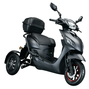 <span class=keywords><strong>Scooter</strong></span> Elettrico a Tre Ruote di Alta Qualità con Doppio Motore da 1000W, Batteria Rimovibile, Impermeabile, Certificato EEC COC - Product Image 4