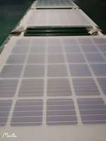 Transparent Panneau Solaire BIPV Panneau Solaire pour la construction et jardin