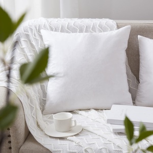 Almohada de seda de morera <span class=keywords><strong>para</strong></span> <span class=keywords><strong>silla</strong></span> de oficina, insertos de cojín de plumas 45x45, color blanco, China - Product Image 5