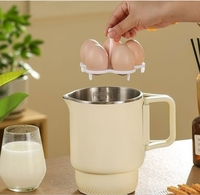 Bouteille d'eau de voyage électrique 800ml voyage 110 220 eau thé café petit pliant extérieur pliable Portable bouteille d'eau de voyage