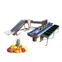 Baobab Industriële Fruit-En Groenteverwerkingsmachines Nieuwe Staat Appelsorteermachine Voor Fruitverwerkingsbedrijf