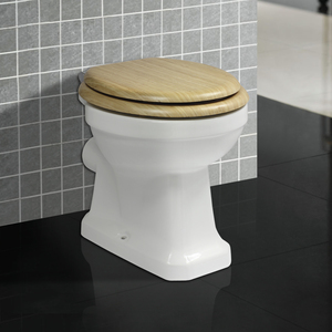 WC monobloc en céramique à poser au sol pour salle de bain - Product Image 1