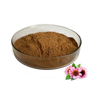 HUAWAVE toptan organik 4% ekinezya <span class=keywords><strong>Purpurea</strong></span> özü gıda sınıfı bitkisel davul 1kg 10:1 20:1 30:1 - Product Image 2