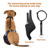 Support de genouillère professionnel pour chien avec matériau réglable en Spandex et nylon Soulagement de la douleur Utilisation quatre saisons-Conrida CD002