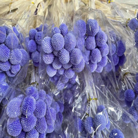 Vente en gros d'usine : Boules dorées séchées et stabilisées pour la décoration, la maison et les arrangements floraux de mariage