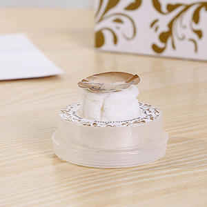 2025新型压缩湿巾-推式，一次性，多用途皮肤和表面 (OEM定制徽标) - Product Image 3