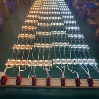 Vente flash : Modules LED SMD 2835 12V avec lentille, module LED étanche, lumière LED super brillante pour enseignes lumineuses, publicité
