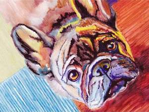 Kits de pintura de diamantes de animales 5D DIY pintura de diamante cuadrado/redondo colorido <span class=keywords><strong>Bulldog</strong></span> <span class=keywords><strong>francés</strong></span> perro decoración de pared del hogar regalos de arte - Product Image 5