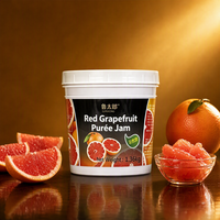 Lotlong Fabriek Leverancier Kosteneffectieve Pure Fruitgefermenteerde Rode Grapefruit Puree Jam voor Foodservice & Huishoudelijk Commercieel Gebruik