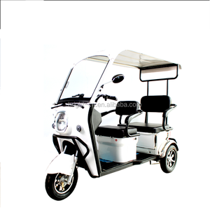 Everbright - Scooter Eléctrico Barato <span class=keywords><strong>en</strong></span> Oferta, Bicicleta Motorizada, Triciclo <span class=keywords><strong>con</strong></span> <span class=keywords><strong>Motor</strong></span> sin Escobillas, Carrocería Abierta, 351-500W, Batería de Plomo-Ácido de 48V - Product Image 3