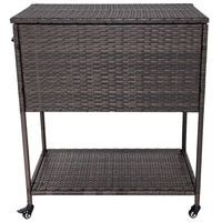 Chariot isotherme en rotin personnalisé pour l'extérieur, chariot à roulettes pour boissons glacées, chariot isotherme imperméable pour les fêtes de jardin