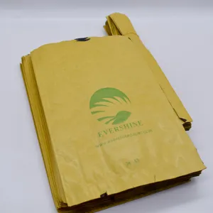 La frutta del mango di vendita della fabbrica della cina protegge il sacchetto di carta da imballaggio