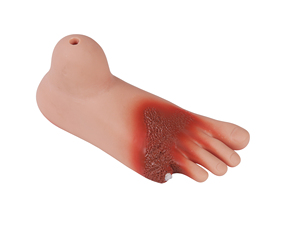 Modèle <span class=keywords><strong>de</strong></span> pied diabétique en PVC pour la formation en sciences médicales dans les écoles et les hôpitaux, mannequin <span class=keywords><strong>de</strong></span> RCP, modèle <span class=keywords><strong>de</strong></span> squelette humain - Product Image 1