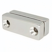 Magnet Neodymium Persegi Panjang Kuat dengan Dua Lubang Sekrup, Bahan Magnet Tanah Jarang Permanen Khusus