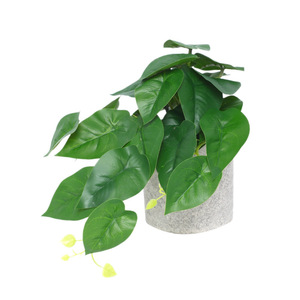 Plantes artificielles en pot Caladium Décoration intérieure Verdure Décoration de mariage Décoration de la maison 30cm-100cm Fleurs en vase en plastique - Product Image 5
