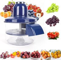 Éplucheur de raisins automatique, éplucheur électrique d'ail, de tomates cerises, en acier inoxydable, portable, compact, outil d'épluchage de fruits pour la maison