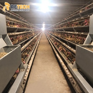 Batteria automatico di Allevamento Sistema Uovo Strato Gabbie di Pollo in kenya galline ovaiole farm - Product Image 1
