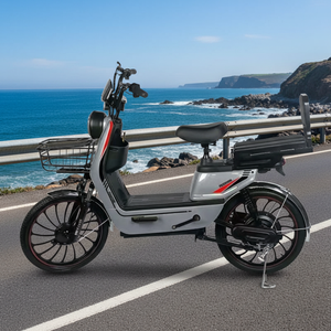 Bicicleta Eléctrica Nueva con Motor de 1000W y 3 Velocidades, Alcance de 60 km, Batería de Plomo-Ácido, Características Electrónicas, Gran Potencia de Subida, <span class=keywords><strong>Precio</strong></span> Económico - Product Image 1