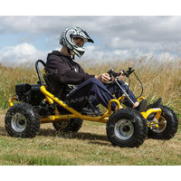 Mini Buggy Tout-Terrain 6,5 CV 196 CC pour Drifting sur Herbe et Cross-Country – Excitation Assurée dans le Monde du Sport Automobile