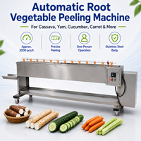 Automatische wortelschilmachine, commerciële wortelgroenteschiller voor wortelen, yams, komkommers, daikon en voedselverwerking