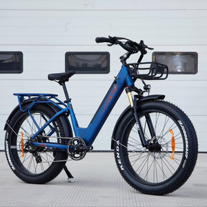 <span class=keywords><strong>Oferta</strong></span> Especial 48V Fat tire City <span class=keywords><strong>ebike</strong></span> 14ah 26 pulgadas Kenda Fat tire electrica bicicleta 750W step through electric City bike - Product Image 1