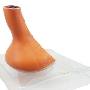 Modelo de enseñanza médica, modelo de sinapsis nerviosa para Neurociencia y educación anatómica - Product Image 3