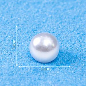 New <span class=keywords><strong>Fish</strong></span> Tank Micro cảnh tự làm trang trí Phụ kiện vỏ đại dương ngọc trai nhỏ đồ trang trí cho tóc Clip đồ trang sức làm - Product Image 6