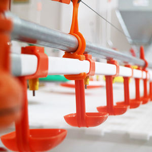 Sistema de <span class=keywords><strong>Bebederos</strong></span> <span class=keywords><strong>para</strong></span> Pollos, Ganchos <span class=keywords><strong>para</strong></span> Línea de <span class=keywords><strong>Bebederos</strong></span>, <span class=keywords><strong>Bebederos</strong></span> Automáticos <span class=keywords><strong>para</strong></span> Aves de Corral - Product Image 4