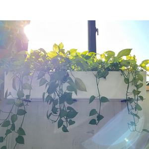 YIZHITANG Grand 100X19X19 <span class=keywords><strong>cm</strong></span> Rectangulaire Pépinière Pots Vassaux Transparent Tenture Murale en Plastique Décoration de la Maison pour Jardin - Product Image 3