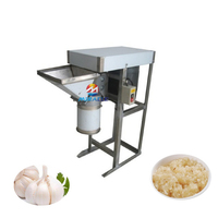 Rectifieuse industrielle de pâte de patate douce d'acier inoxydable machine de fabrication de pâte de gingembre et d'ail