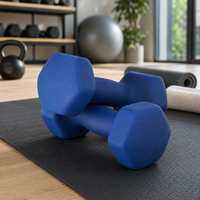 Haltères hexagonaux en PVC SK, équipement d'entraînement de force pour la maison, la salle de sport, le fitness, les exercices