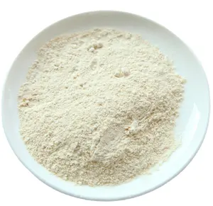 Factory Supply Soy Isolate Protein Vegan Collagen Powder Soybean Peptide Powder for Health Supplement