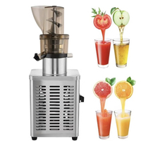 Hete verkoop commerciële fruitpers extractiemachine appel sinaasappel peer sapmachine diverse modellen 300w-500w-1200w-3000w