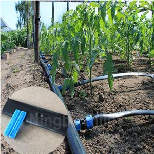 Système complet d'irrigation par bandelette <span class=keywords><strong>goutte</strong></span>-<span class=keywords><strong>à</strong></span>-<span class=keywords><strong>goutte</strong></span> <span class=keywords><strong>pour</strong></span> l'agriculture, modèle 1 hectare, fabricants chinois de tuyaux d'irrigation <span class=keywords><strong>pour</strong></span> l'agriculture - Product Image 4