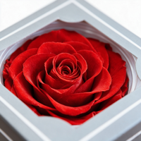 Roses rouges préservées, têtes de fleurs de 7-8 cm, rose éternelle, cadeau de la Saint-Valentin pour petite amie, décoration de la maison, vente en gros