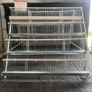 Système de Cage de poulet/batterie automatique, Super bas prix, utilisation complète, couche d'œufs, plante