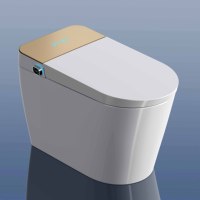 Intelligent porcelaine wc monté au sol eau Japon cuvette de toilette salle de bain automatique céramique noir toilette intelligente