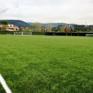 كرة القدم/ملعب لكرة القدم أسترو العشب لمدة 40-60 مللي متر PE عشب اصطناعي