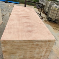 Panneau de meubles en contreplaqué de peuplier avec face en bois de rose de première qualité et base en eucalyptus, série Super Flat