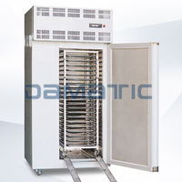 Elektronische Snelvrieskoeling Voedsel Fruit Ijs Custard Yoghurt Drinken Sap Aardappelfriet Pizza Samosa Vis Vriesmachine