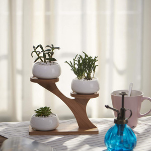 Lot de 3 pots de fleurs ronds <span class=keywords><strong>en</strong></span> céramique blanche de 3 pouces avec support <span class=keywords><strong>en</strong></span> <span class=keywords><strong>bambou</strong></span> à plusieurs niveaux pour la décoration du jardin, de la cuisine, de la maison et du bureau - Product Image 6