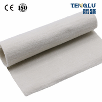 Géotextile non tissé haute résistance 100-800 GSM pour la stabilisation routière, le sous-couche de bassin et le rebouchage de murs de soutènement