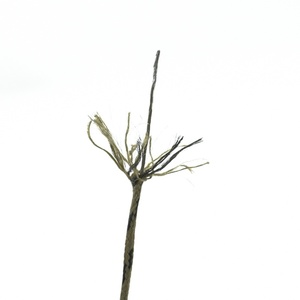 ชุดอุปกรณ์ตก<span class=keywords><strong>ปลา</strong></span><span class=keywords><strong>คา</strong></span><span class=keywords><strong>ร์</strong></span>พยุโรป สำหรับ<span class=keywords><strong>ปลา</strong></span><span class=keywords><strong>คา</strong></span><span class=keywords><strong>ร์</strong></span>พดำ <span class=keywords><strong>ปลา</strong></span><span class=keywords><strong>คา</strong></span><span class=keywords><strong>ร์</strong></span>พหญ้า และปลาโรช พร้อมอุปกรณ์ตีเหยื่อระยะไกล ชุดครบครัน - Product Image 5